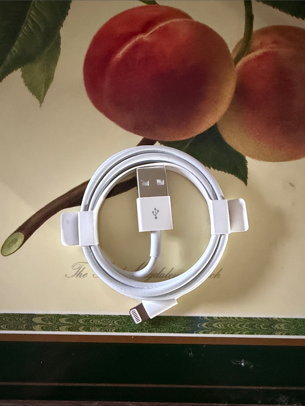 Apple White Lightning to USB Charging and Sync Cable